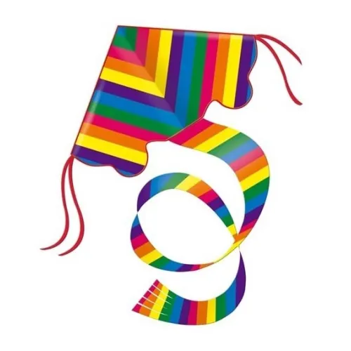 Gunther Vlieger regenboog 97 cm